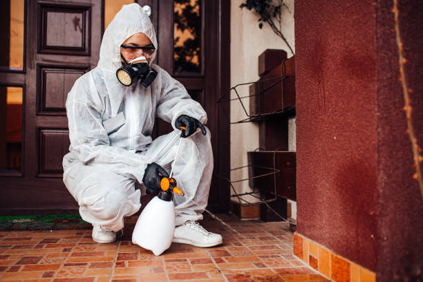 Multi-Unit and Airbnb Bed Bug Protocol in Locust