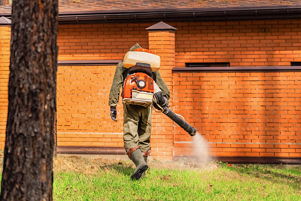 Bed Bug Clearance Verification and Documentation in Locust